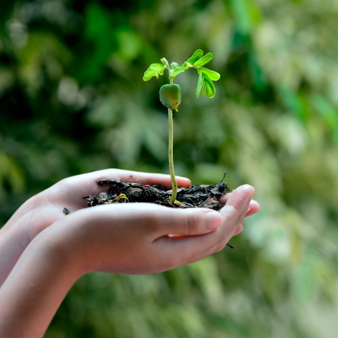 ville plus vert - Groslay Cap Citoyens