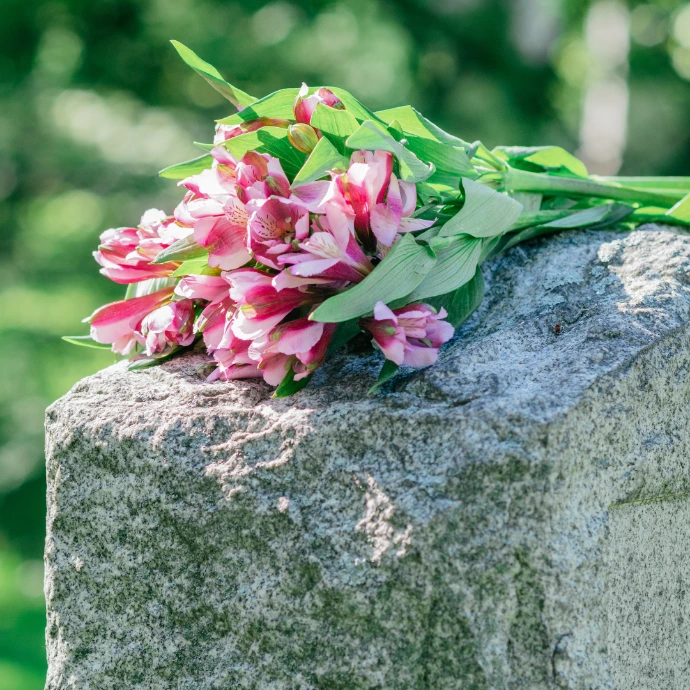 Propreté cimetière - Groslay Cap Citoyens